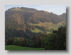 DSC02584