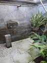 DSC00817