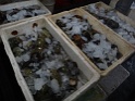 DSC00920