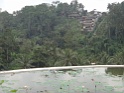 DSC01229