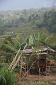 IMG_2256