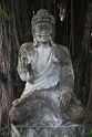 IMG_2380