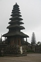 IMG_2390