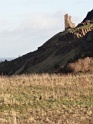 DSC04384