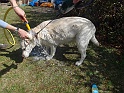 DSC05469
