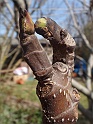 DSC05507