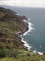 DSC06405