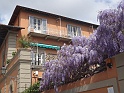 DSC05624