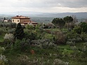 DSC05710