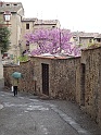 DSC05828