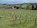DSC05865