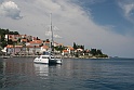 IMG_2982