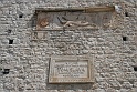 IMG_2989