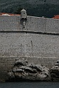 IMG_3450