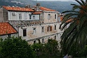 IMG_3502