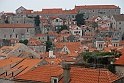 IMG_3525