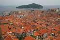 IMG_3548
