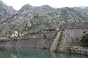 IMG_3234