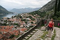 IMG_3245