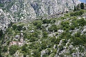 IMG_3286