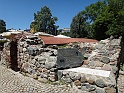 DSC07506