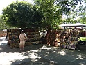 DSC07510
