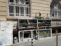 DSC07715