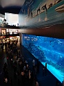 DSC08091