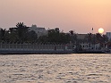 DSC08151
