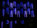 DSC08216