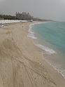 DSC08479