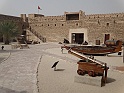 DSC08491