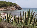 DSC08938