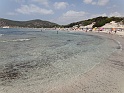 DSC09033