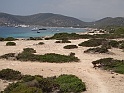 DSC09055