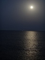 DSC09221