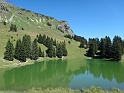 DSC09501