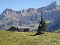 DSC09504