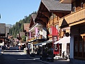 DSC09994