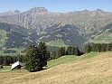 DSC10016