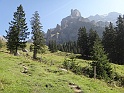 DSC10083
