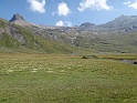 DSC10189