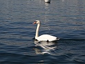DSC00200