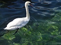 DSC00305