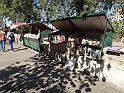 DSC09679