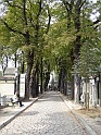 DSC09769