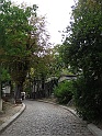 DSC09779