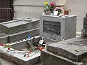 DSC09784