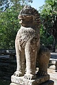 IMG_4372