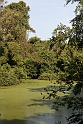 IMG_4374